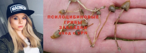 ешки Армянск