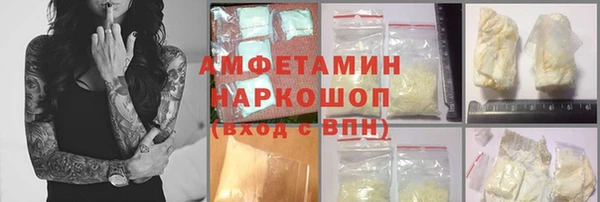 прущие грибы Новочеркасск