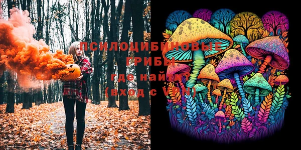мет Аркадак